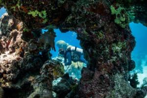 Beran Island Resort, Marshall Islands, scuba diving