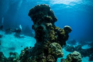 Beran Island Resort, Marshall Islands, scuba diving
